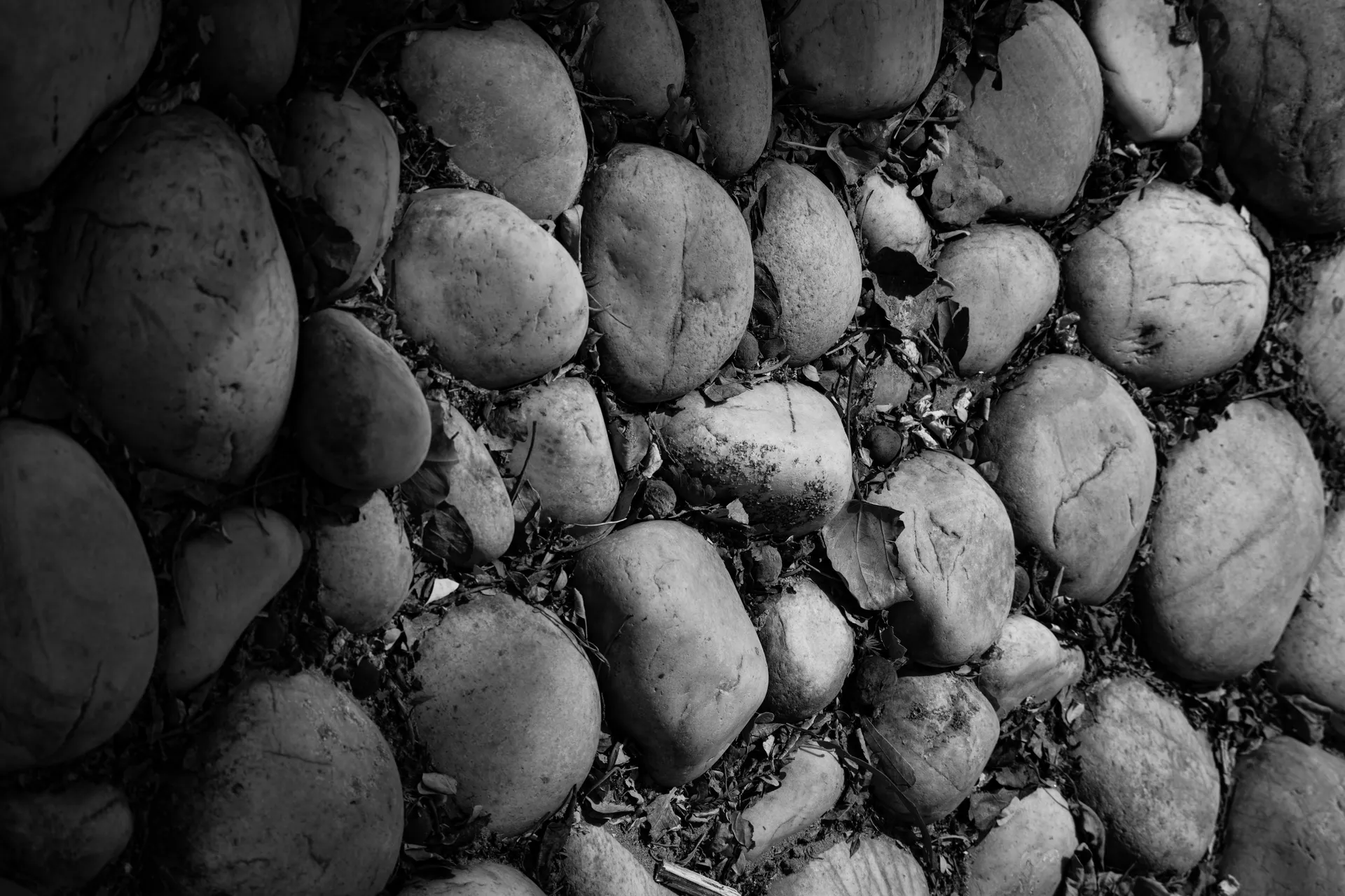 Photography work